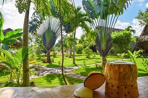 Karibik Hotels kokos chalet tropical