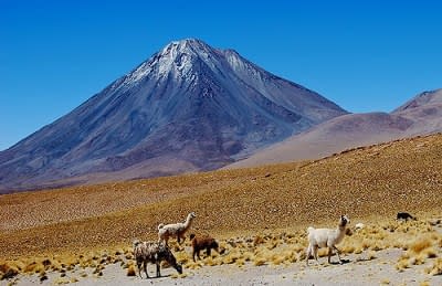 Atacama & Altiplano - geführte Mietwagenreise 10