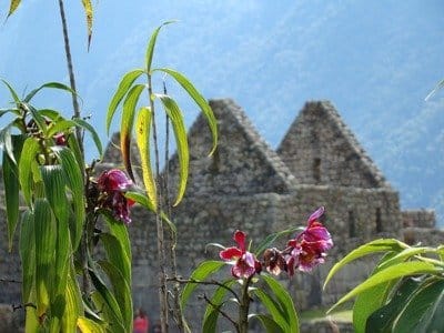 10 Tage Peru Rundreise-Machu Picchu und Manu Nationalpark 72